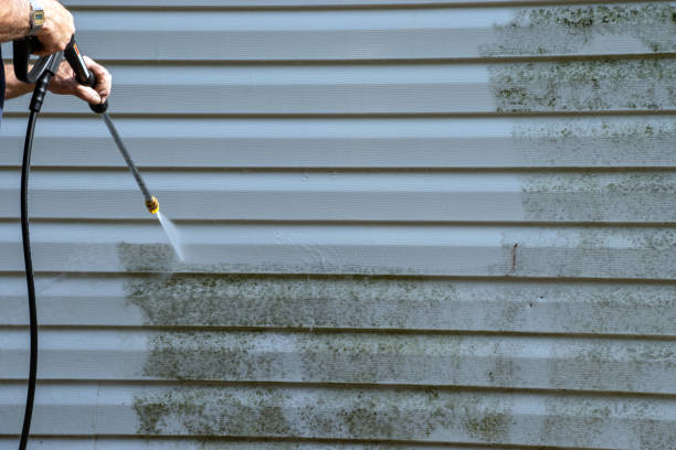 Affordable siding repair and maintenance services in Ishpeming, MI